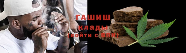 стаф Инта