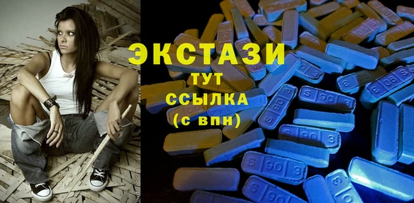 стаф Инта