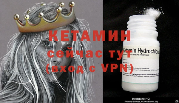 стаф Инта