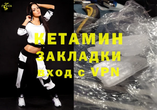 стаф Инта