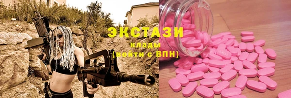стаф Инта
