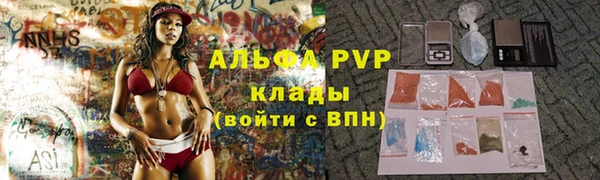 стаф Инта
