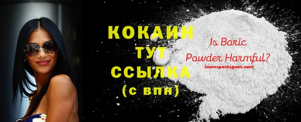 стаф Инта