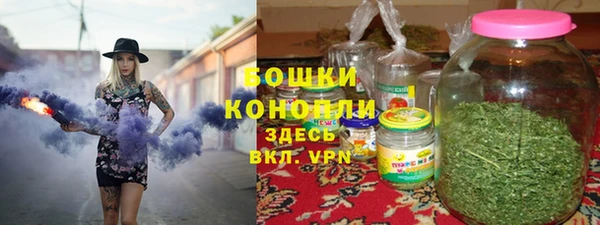 стаф Инта