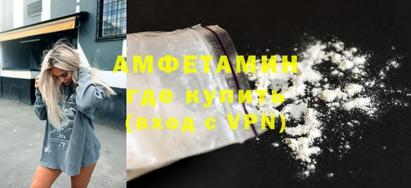 стаф Инта