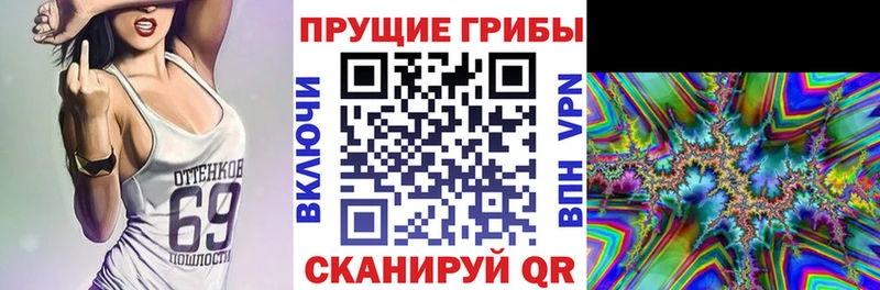 Купить  Краснодар  Галлюциногенные грибы Psilocybe 