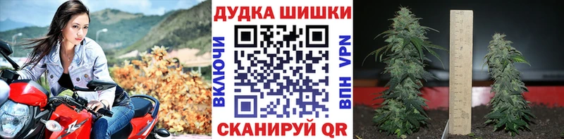 Бошки Шишки план  Купить закладки  Краснодар 